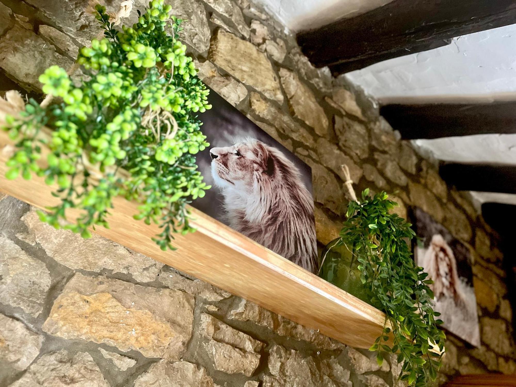 Apartamentos Nel I Santillana del Mar Kültér fotó